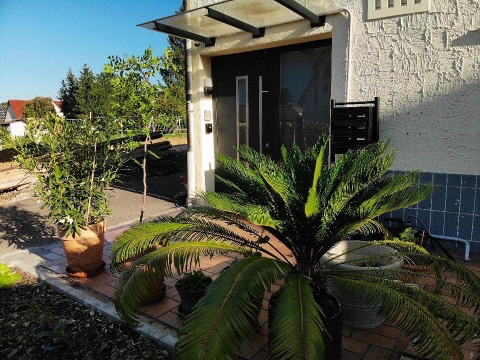 Gemuetliche 3 Zimmer Wohnung Mit Grosszuegiger Terrasse Im Gruenen Reutlingen Exterior photo